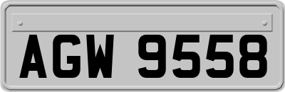 AGW9558