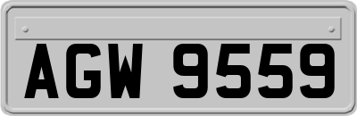 AGW9559