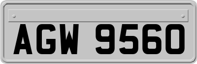 AGW9560