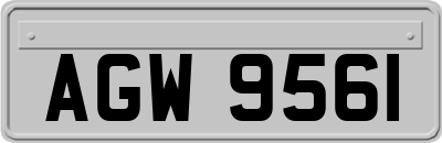 AGW9561