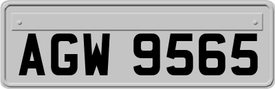 AGW9565