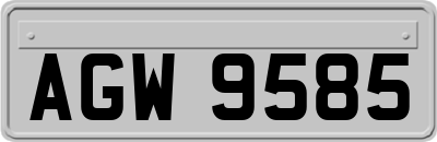 AGW9585