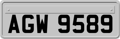 AGW9589
