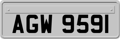 AGW9591