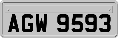 AGW9593