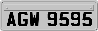 AGW9595