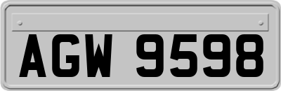 AGW9598