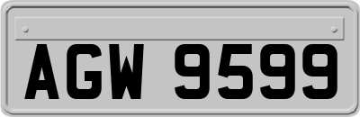 AGW9599