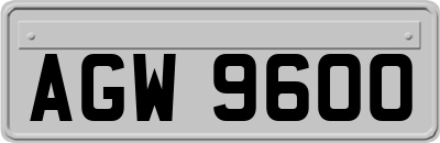AGW9600