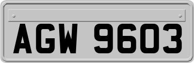 AGW9603