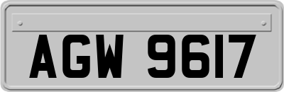 AGW9617
