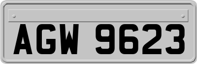 AGW9623