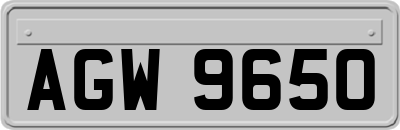 AGW9650