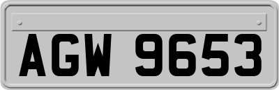 AGW9653