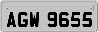 AGW9655