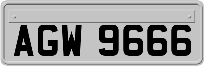 AGW9666