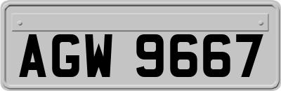 AGW9667