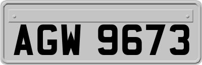 AGW9673