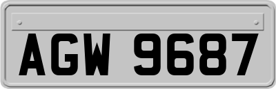 AGW9687