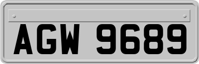 AGW9689