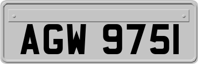 AGW9751