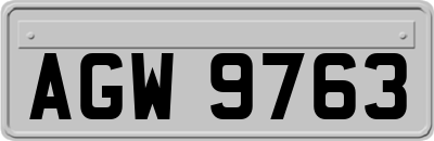 AGW9763