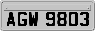 AGW9803