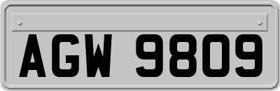 AGW9809