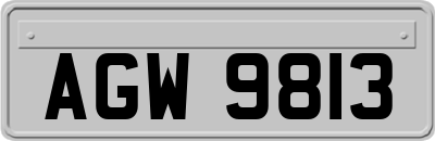 AGW9813