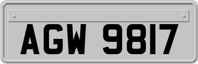 AGW9817
