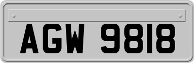 AGW9818