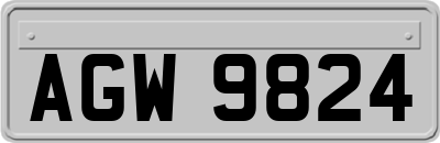 AGW9824