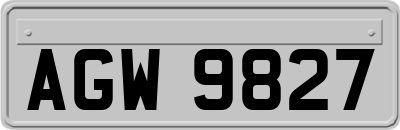 AGW9827