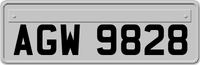 AGW9828