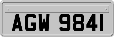 AGW9841