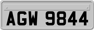 AGW9844