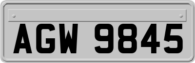 AGW9845