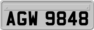AGW9848