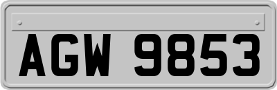 AGW9853