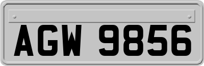 AGW9856