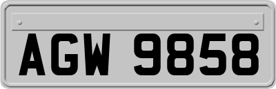 AGW9858