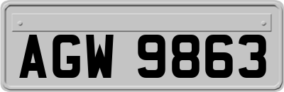 AGW9863