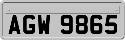 AGW9865