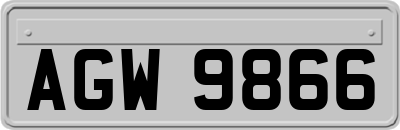 AGW9866