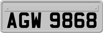 AGW9868