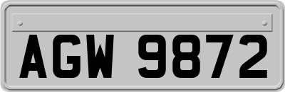 AGW9872