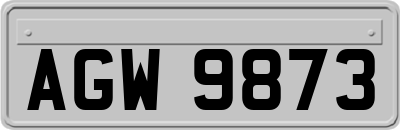 AGW9873