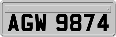 AGW9874