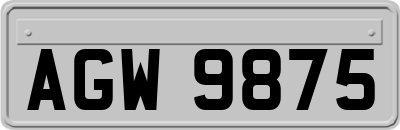 AGW9875