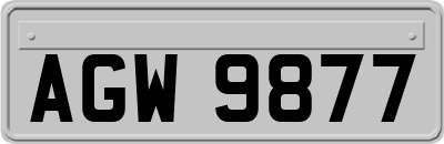 AGW9877